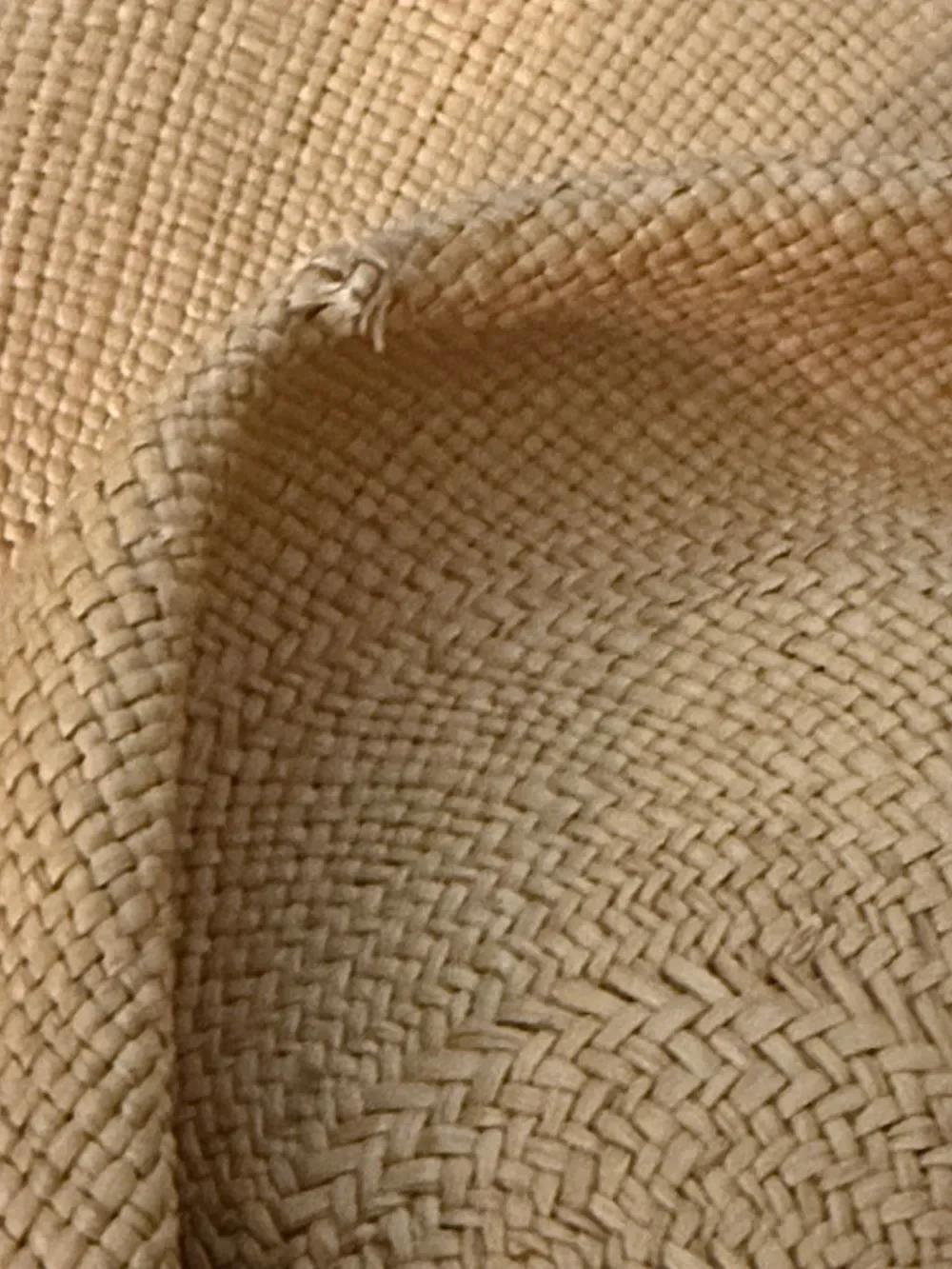 Gladys Tamez Millinery Panama Hat